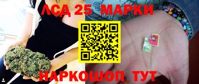 гидра Берёзовский