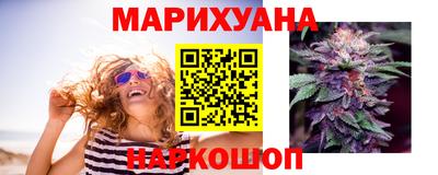 гидра Берёзовский