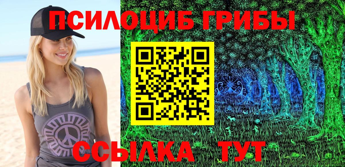 Галлюциногенные грибы MAGIC MUSHROOMS Богородск
